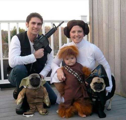 ハロウィンコーデ　スターウォーズ　ペット